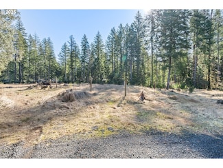 0 Alma Dr Unit 155780752, McKenzie Bridge, OR 97413
