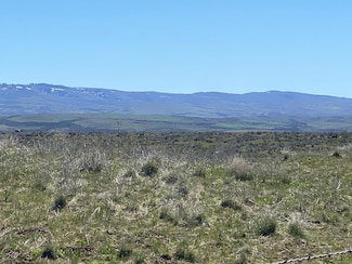 TBD P-8 Indian Valley Rd, Indian Valley, ID 83632