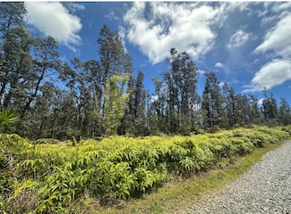 0 Road 5 (Uau) Unit 722286, Mountain View, HI 96760
