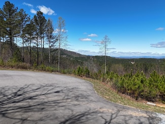 810 Ridge Peak View, Blairsville, GA 30512