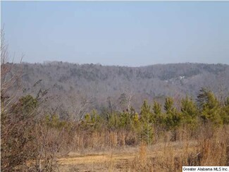 0 County Road 286 Unit 85 AC 620242, Collinsville, AL 35961