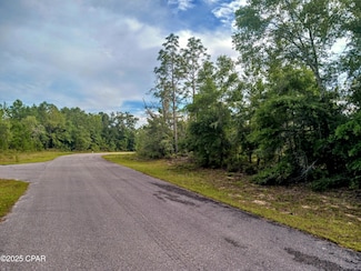 Lot 19 Velvet Dr, Chipley, FL 32428