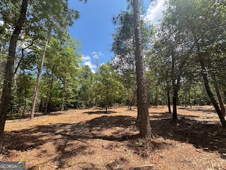 2 Long Leaf Estates, Macon, GA 31216