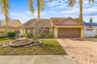 7052 Hollowell Dr, Tampa, FL 33634