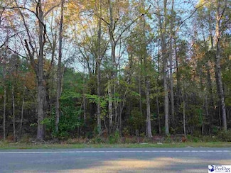 1317 Major Dr, Hartsville, SC 29550