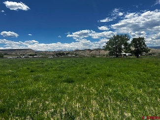 TBD Racine Rd, Montrose, CO 81403