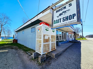 17351 Main St Unit W 17351, Curtis, MI 49820