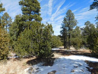 3341-3343 Stone Bridge Trail, Heber, AZ 85928
