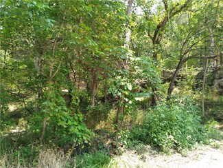 0 Magnetic St Unit 1167867, Eureka Springs, AR 72632