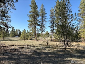 0 Tamarack Rd Unit NWM2346704, Tonasket, WA 98855