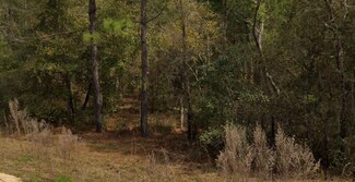 0 Marion Ave Unit 244651, Interlachen, FL 32148