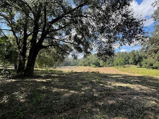 19131 Bridges Glen Ln, Ferndale, FL 34715