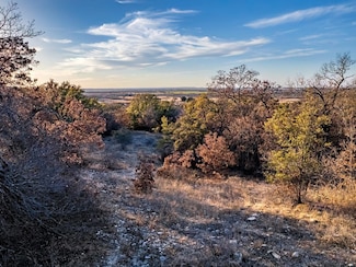 351 County Road 477, Coleman, TX 76834