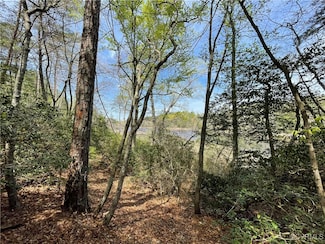 TBD Bouy Dr, Heathsville, VA 22473