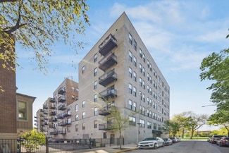 811 S Lytle St Unit 101, Chicago, IL 60607
