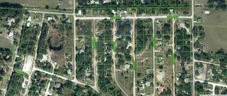 TBD W Downing Rd, Avon Park, FL 33825