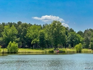 1800 County Road 188, Marion Junction, AL 36759