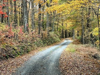 892 Pleasant Valley Rd, Herndon, WV 24726