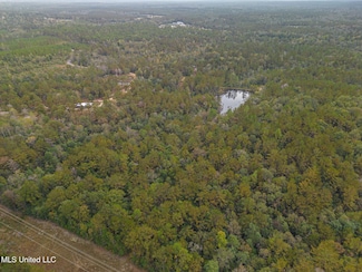 0 Aaron Scott Rd, Lucedale, MS 39452