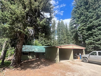 217 Forest St Unit A&B, McCall, ID 83638