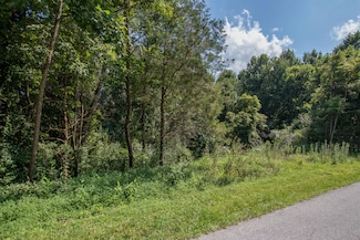 Lot 46 Tbd Preston Place Dr, Abingdon, VA 24211