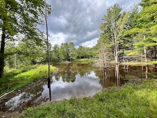 0 N Greenbush Rd Unit LotWP014 20915126, Erin, NY 14838