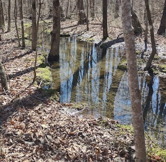 0 Deer Run Rd Unit RTC2683316, Altamont, TN 37301