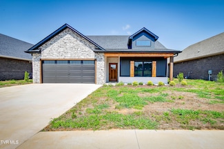 157 Marigold Ln, Jonesborough, TN 37659