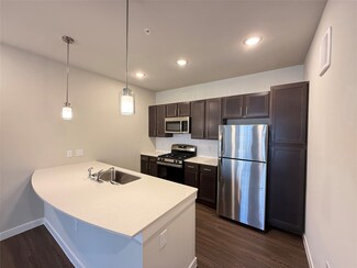 2102 Antoine Dr Unit 3313LL, Houston, TX 77055
