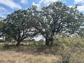 303 Walter Hoffman Rd, Cedar Creek, TX 78612