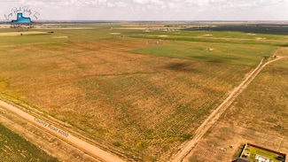 County Road 6000 County Road 1200, Shallowater, TX 79363