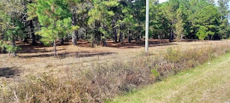 TBD Fowler Rd, Loris, SC 29569