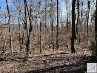 00 Abram Penn Hwy, Patrick Springs, VA 24133