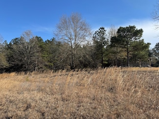 322 Big Bay Blvd, Lumberton, MS 39455