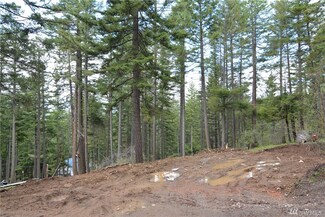 0 Highland Lp Unit 1263026, Ronald, WA 98940