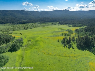 TBD 116 9ac Little Creek Rd, Killgore, ID 83423