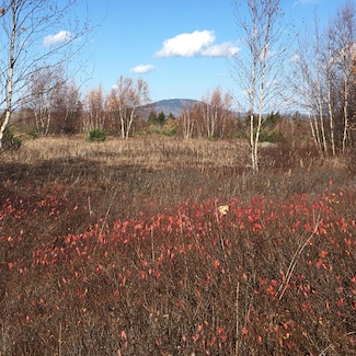 08-02A Sedgwick Ridge Rd, Sedgwick, ME 04676