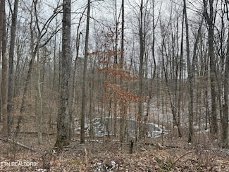 0 Jones Ridge Rd, Speedwell, TN 37870
