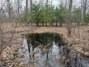 00# 4 Mile Rd, Lake, MI 49679