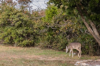 Lot 95 Cliffs Dr, Possum Kingdom Lake, TX 76449