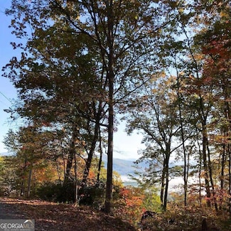 Lot 27 True Love Mountain Rd, Young Harris, GA 30582