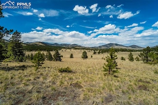 128 Nancy Ann Arroyo, Guffey, CO 80820