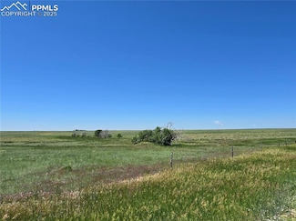 0 Hoot Owl Rd Unit 3538465, Simla, CO 80835