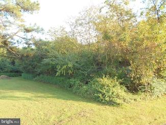 1548 Grant Rd, Stockton, MD 21864