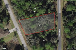 5640 N Brookgreen Dr, Crystal River, FL 34428