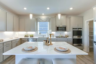 890 Laurel Ct, Chaska, MN 55318