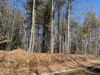 15 Neal Hill Rd, Center Tuftonboro, NH 03816