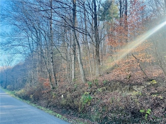 0 W Cheningo Rd, Truxton, NY 13158