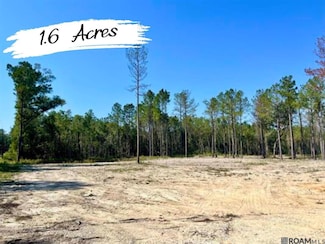 29581 George White Rd, Holden, LA 70744