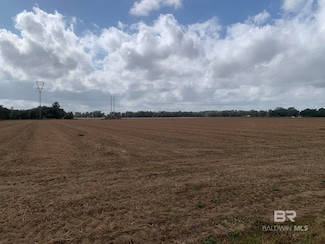 0 County Road 54, Loxley, AL 36551